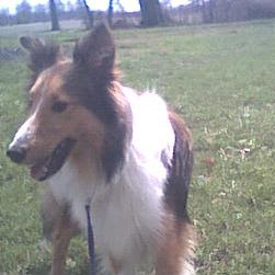 Frances Turner Photo 28