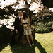 Mae Simmons Photo 10