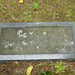 Gregory Graves Photo 45