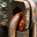 Linda Rust Photo 17