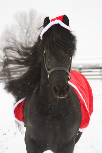 Jennifer Hazen Photo 9