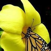 Judy Perkins Photo 39