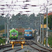 Allan Cummins Photo 13
