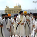 Dee Singh Photo 6