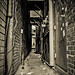 Pamela Alley Photo 18