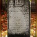 Nancy Seely Photo 7