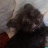 Tammy May Photo 28