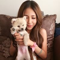 Feifei Chen Photo 25