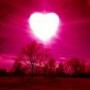Joyce Donaldson Photo 19