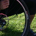 James Catton Photo 6