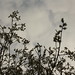 April Branch Photo 36