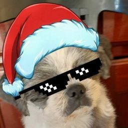 Marcelo Ribeiro Photo 33 Marcelo Ribeiro Photo 33