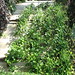 Lisa Mosely Photo 11
