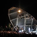 Patti Summers Photo 11