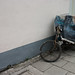 Dan Lu Photo 26