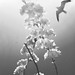 Jean Wix Photo 10