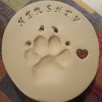 Christy Lowery Photo 27