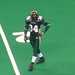 Steve Watson Photo 16