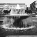 Craig Franklin Photo 47