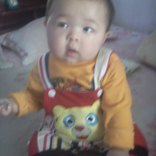 Thuan Trinh Photo 5