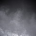 Mark Hillier Photo 20
