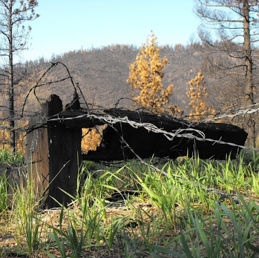 Gregor Johnson Photo 5
