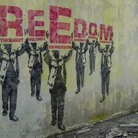 Steven Freedman Photo 30