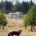 Ola Ross Photo 15