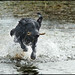 Sonya Waters Photo 18