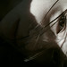 Lisa Herbst Photo 25