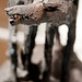 Ed Howell Photo 16