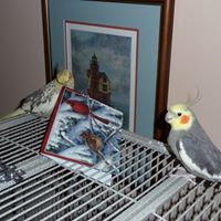 Elizabeth Gage Photo 29