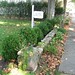 Annie Boyd Photo 22