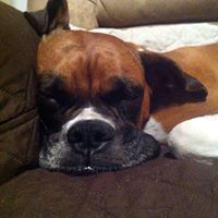 Lenora Butcher Photo 5