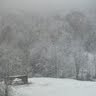 Leroy Yoder Photo 8