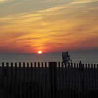 Amy Stalnaker Photo 5