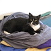 Kitty Sherman Photo 14