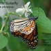 Christine Skinner Photo 41