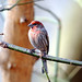 Brian Finch Photo 4