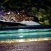 Ray Scarbrough Photo 13