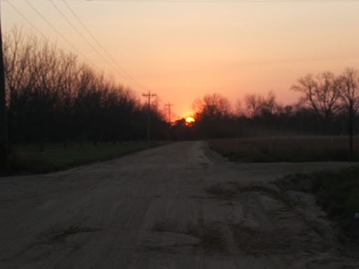Wanda Rice Photo 37