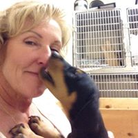 Deborah Lawton Photo 31