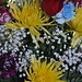 Robert Pagan Photo 41