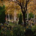 Joyce Frye Photo 7