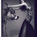 Patrick Couture Photo 12