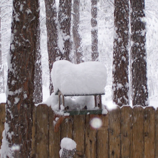 Kathy Reese Photo 3