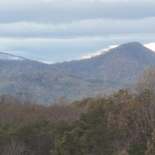 Debbie Culp Photo 15