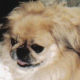 Betsy Brewer Photo 2