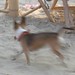 Paul Sommers Photo 18