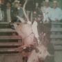 Michael Mauldin Photo 13